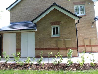 Picture 11